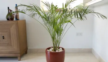 Künstliche Palmen