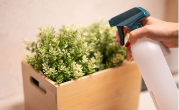 Die Pflege von künstlichen Pflanzen: Tipps und Tricks vom Profi